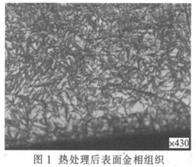 熱處理后表面金相組織