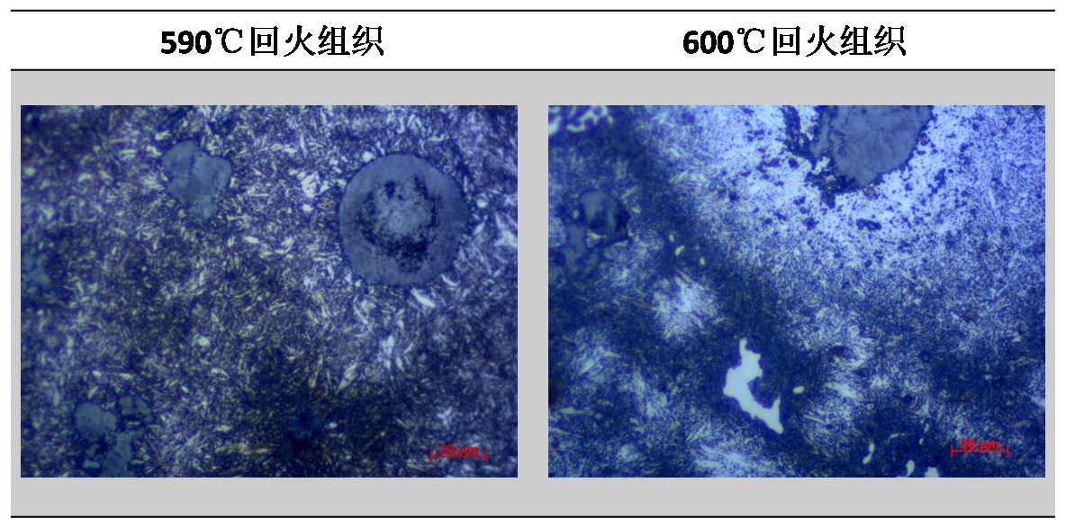 圖2 不同溫度回火后金相組織500倍